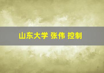 山东大学 张伟 控制